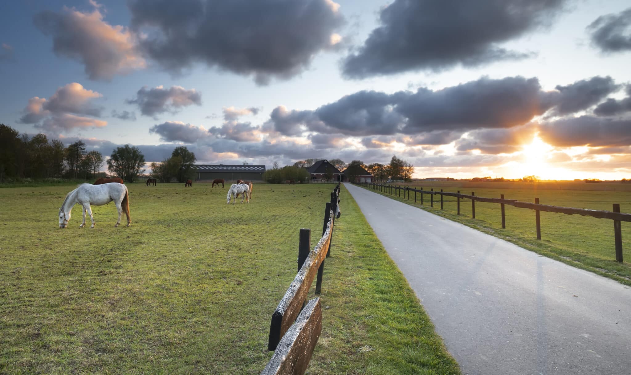 How to Sell Your House Quickly in Newmarket: A Step-by-Step Guide 4 beautiful sunset over meadow with grazing horses 2026 03 17 07 00 22 utc scaled